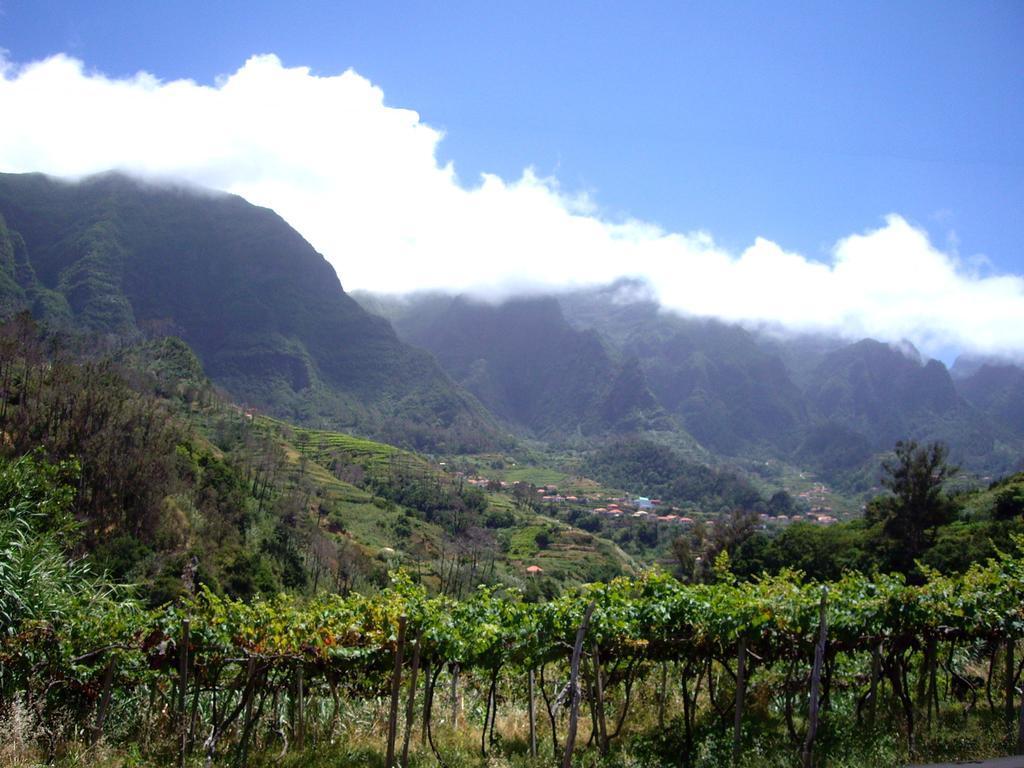 Holidays Madeira São Vicente Værelse billede